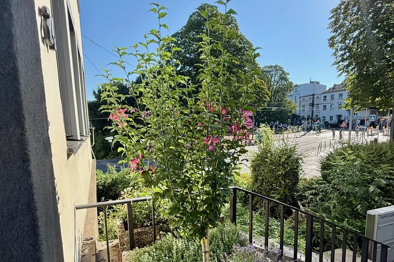Blick auf Straße