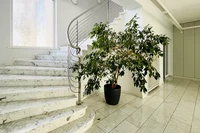 Treppe