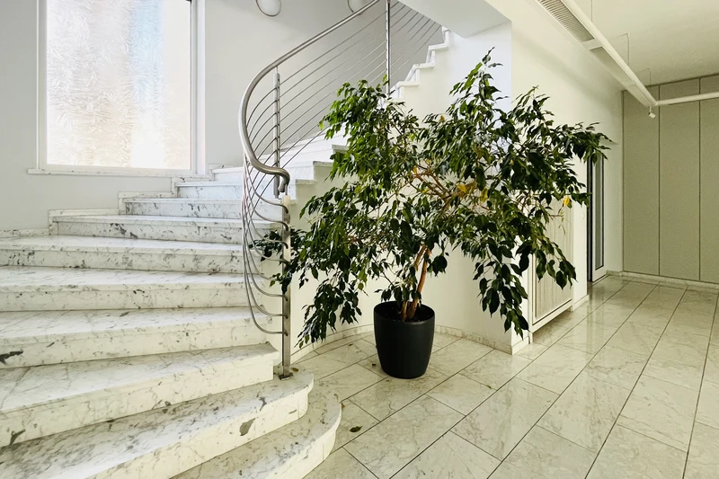 Treppe