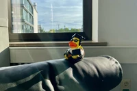 Ente